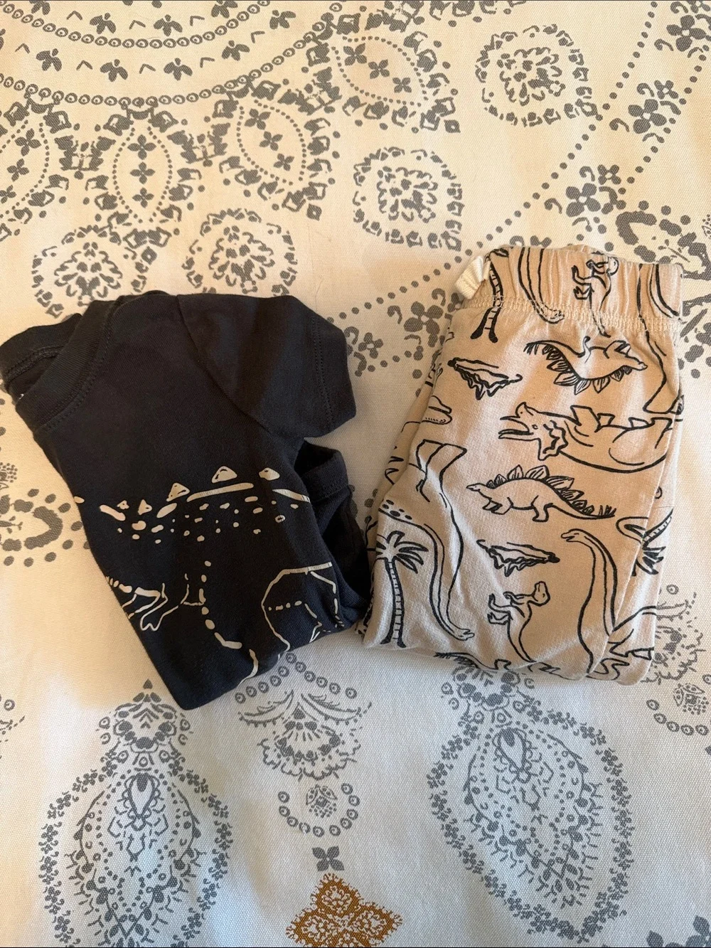 Dinosaur Baby Bodysuit & Pants Set - 18 Months